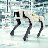 description_selected1