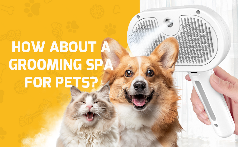 Pet Spray Hair Comb Pet Hair Remover Cleaning Brush Cats Grooming Dog Accessories Tools Dematting Water Mist Humidifier Comb