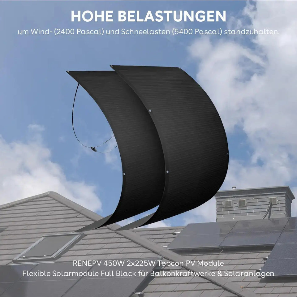 RENEPV 450W 2x225W N-TOPCon Flexible Solar Modules for balcony power plant