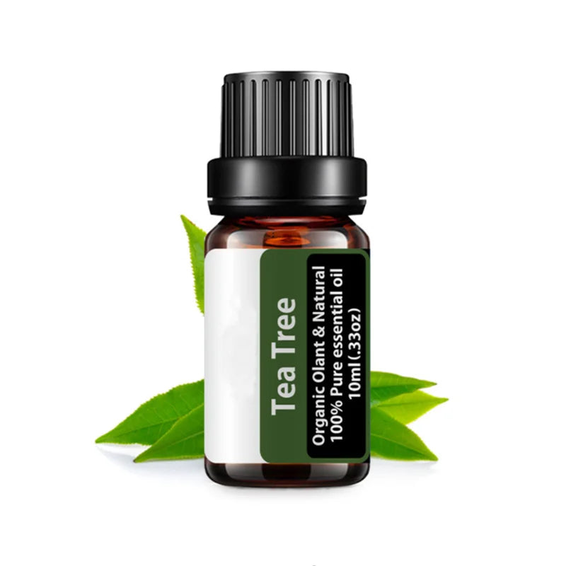 Tea Tree Essential Oil Steamer Wholesale Aromatherapy 100% Pure Natural Skin Care Therapeutic Grade Steam Sauna SPA Dedicated
