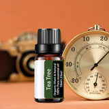 Tea Tree Essential Oil Steamer Wholesale Aromatherapy 100% Pure Natural Skin Care Therapeutic Grade Steam Sauna SPA Dedicated
