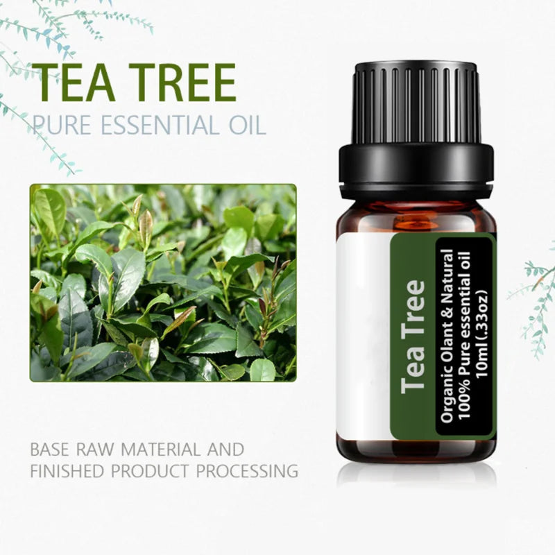Tea Tree Essential Oil Steamer Wholesale Aromatherapy 100% Pure Natural Skin Care Therapeutic Grade Steam Sauna SPA Dedicated
