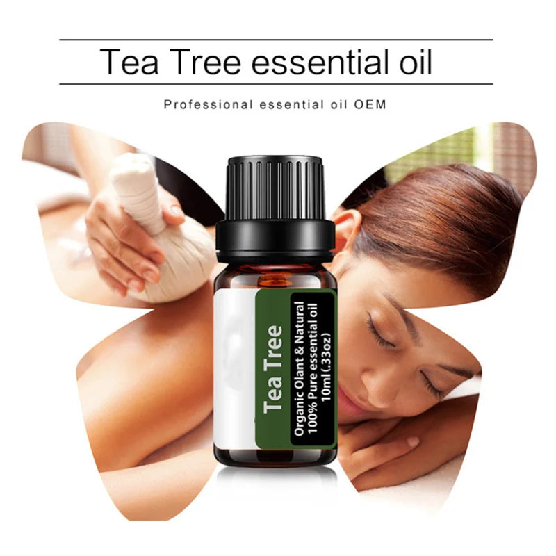 Tea Tree Essential Oil Steamer Wholesale Aromatherapy 100% Pure Natural Skin Care Therapeutic Grade Steam Sauna SPA Dedicated