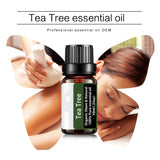 Tea Tree Essential Oil Steamer Wholesale Aromatherapy 100% Pure Natural Skin Care Therapeutic Grade Steam Sauna SPA Dedicated