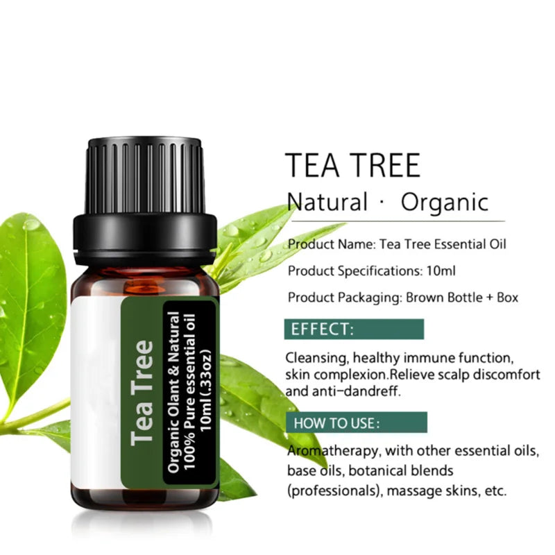 Tea Tree Essential Oil Steamer Wholesale Aromatherapy 100% Pure Natural Skin Care Therapeutic Grade Steam Sauna SPA Dedicated