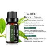 Tea Tree Essential Oil Steamer Wholesale Aromatherapy 100% Pure Natural Skin Care Therapeutic Grade Steam Sauna SPA Dedicated