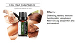 Tea Tree Essential Oil Steamer Wholesale Aromatherapy 100% Pure Natural Skin Care Therapeutic Grade Steam Sauna SPA Dedicated