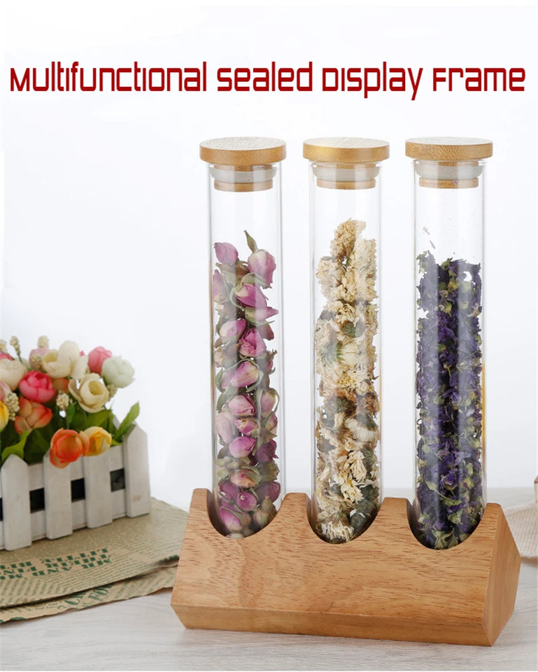Coffee Beans Display Creative Wooden Flower Tea Rack Stand Cereals canister Glass Test Tube sealed Storage Decorative Ornaments