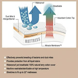 Terry Cloth Waterproof Mattress Cover Cotton Mattress Protector With Elastic Pad Bug Proof Dust Mite 160x190/160x200cm
