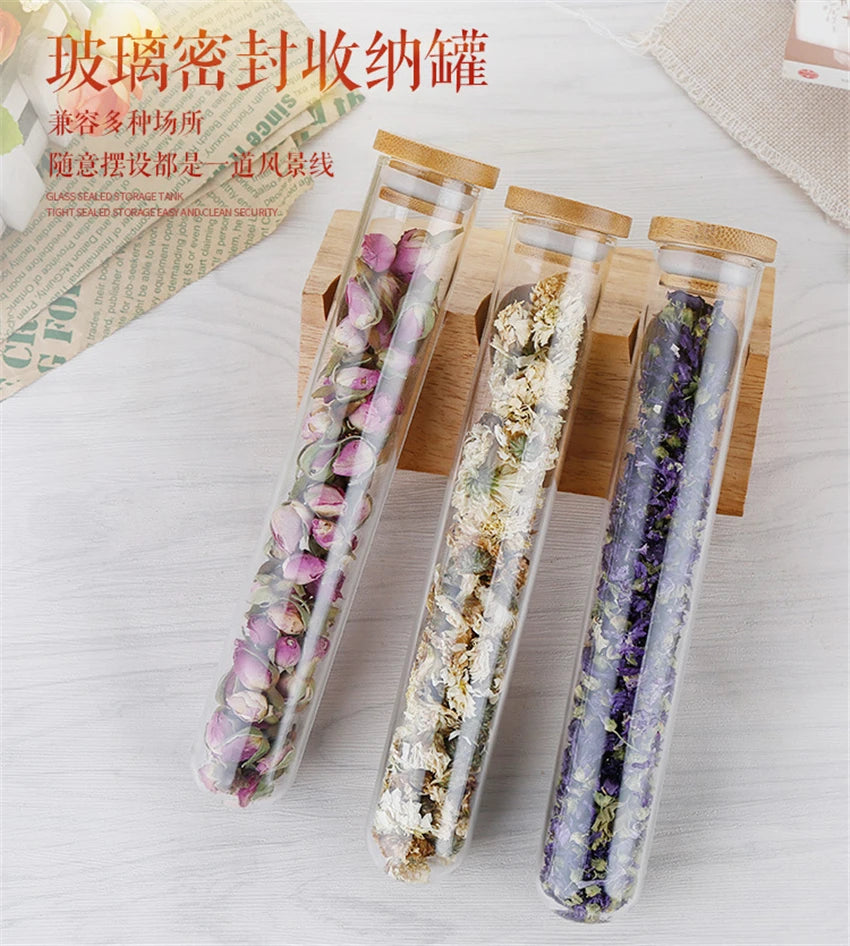 Coffee Beans Display Creative Wooden Flower Tea Rack Stand Cereals canister Glass Test Tube sealed Storage Decorative Ornaments