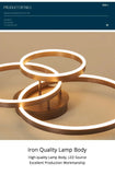 Nordic Creative Round Circle Chandeliers For Bedroom Living Room Restaurant Lighting Golden Coffee Lustre Ring Ceiling Lights