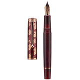 Hongdian N8S Acrylic Fountain Pen EF/F/M//Nib Writing Pen &Converter, Gray, Green, Red