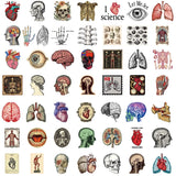 50PCS Retro Scientific Anatomy Sticker Physiology Anatomy Luggage Laptop Cars PVC Guitar Coffee Skateboard Notebook Decals