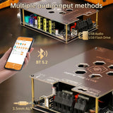 T3002P upgraded version 300WX2 Bluetooth digital amplifier board module with high and low frequency adjustment, imported TPA3255