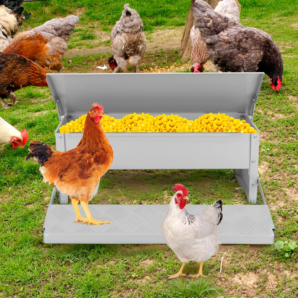 Treadle Chicken Feeder with Weatherproof Lid Rat Proof Chicken Feeder Metal Chicken Feeder for Chickens Ducks and Geese