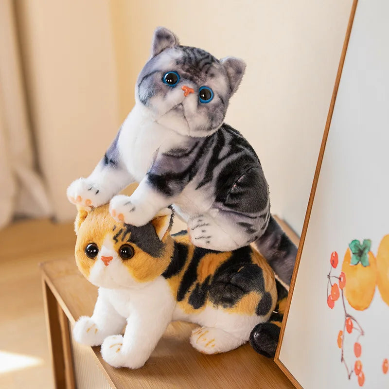 Super Likfelike Fat Face Cat Plushie Stuffed Apple Face Tiger Patterned Kitten Simulated Animals Home Decor Gift for Boy Kids