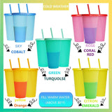 5PCS Plastic Cute Cold Cups with Lids and Straws for Iced Coffee 24 oz Color Changing Reusable for Adults Kid Women Party