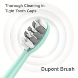 Electric Toothbrush Rotary Cleaning Teeth Brush Waterproof Electronic Tooth Brush With Timer USB Rechargeable Toothbrush 10 head