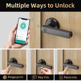 Viladepot Smart Lock Fingerprint Door Lock App Control TYPE-C Interface Passcode Unlock Electronic Touchscreen Keypad
