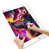 Huacan New Arrivals 2025 Diamond Painting Wolf Aurora Diamond Mosaic Animal Landsacape Art Decorative Paintings