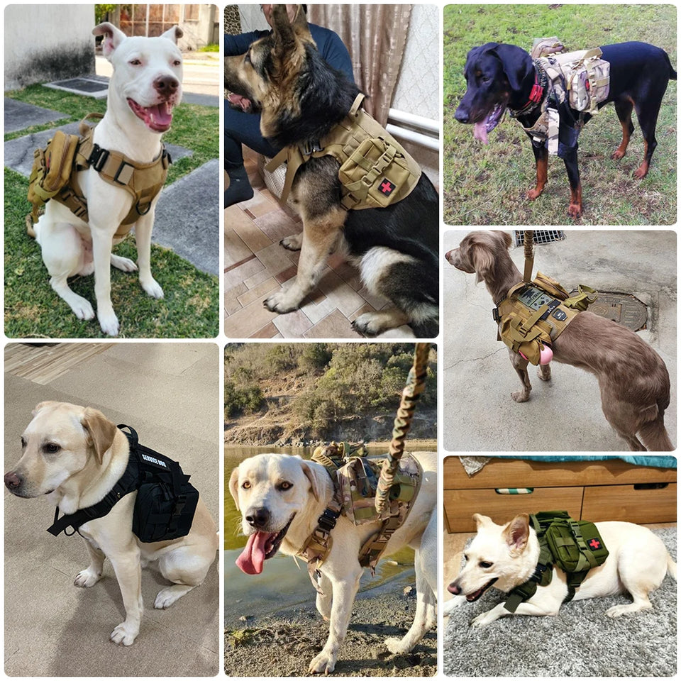 Tactical Dog Harness Collar Leash Molle Pouches For Medium Large Dogs Pet German Shepherd Training Walking Vest Dog Harnesses
