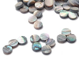 Parts White Colourful Guitar Fretboard Fingerboard Pearl Shell Dots Punctuation Point Abalone Dots Abalone Inlay Dots