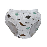 Exquisite Box Package Boys Underwear Soft Breathable Cotton Briefs For Boys Cartoon Dinosaur Kids Panties Knickers Multipack