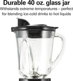 Blender and Food Processor Combo – 40oz Glass Jar, Portable Travel Cup, 3-Cup Electric Food Chopper, 700W – Gray/Black (58163)