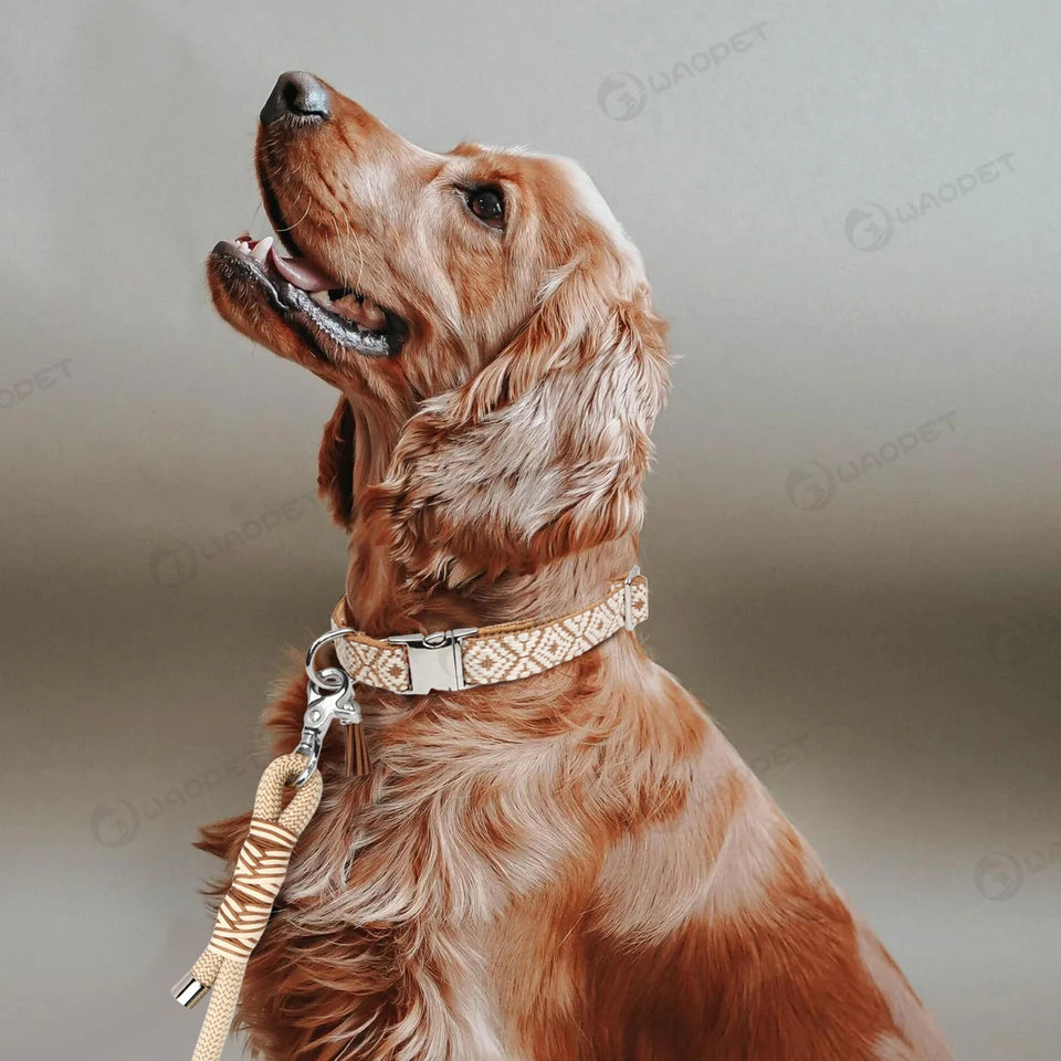 Bohemian Ethnic Style Pet Collars For Small Medium And Large Dogs Multi-colors Choose Adjustable Luxurious Trend New Arrivals