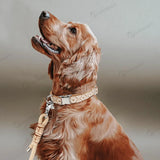Bohemian Ethnic Style Pet Collars For Small Medium And Large Dogs Multi-colors Choose Adjustable Luxurious Trend New Arrivals