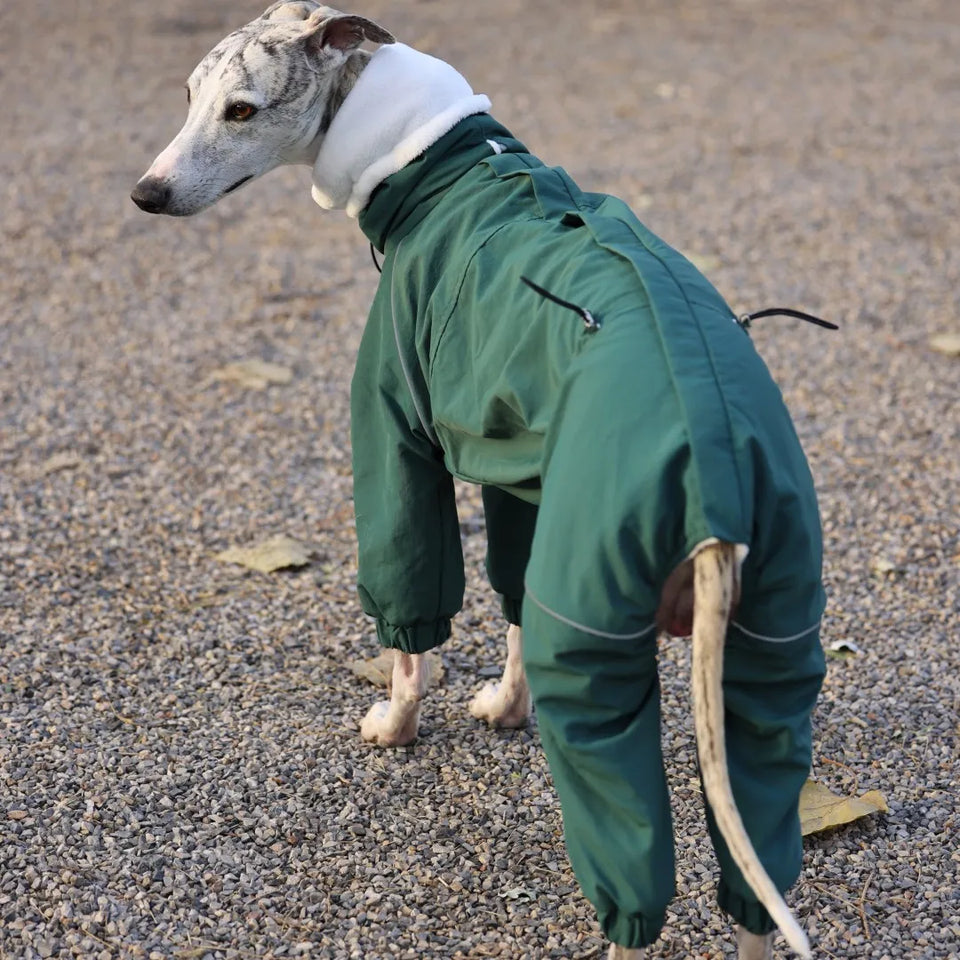 Winter 4-legged Windproof Cotton Jacket for Italian Greyhound Warm High Neck Adjustable Sweatshirt for Whippet Greyhound to 25KG