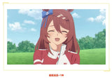 Genuine BANDAI Uma Musume TCG Card New Pretty Derby AGR/SSP/SEC/SP Rare Battle Trading Card Special Week JP/SC Edition Game Card