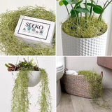 1/2/6Piece Artificial Vine Home Decor Artificial Ivy Leaf Garland Plants Vine Fake Foliage Flowers Creeper Green Ivy Wreath