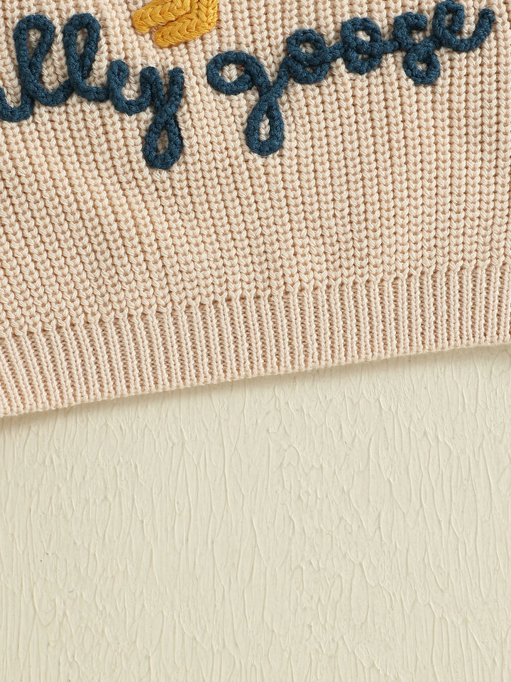 0-3T Toddler Baby Boy Girl Knit Sweater Silly Goose Embroidery Long Sleeve Knitted Sweatshirt Warm Fall Winter Clothes