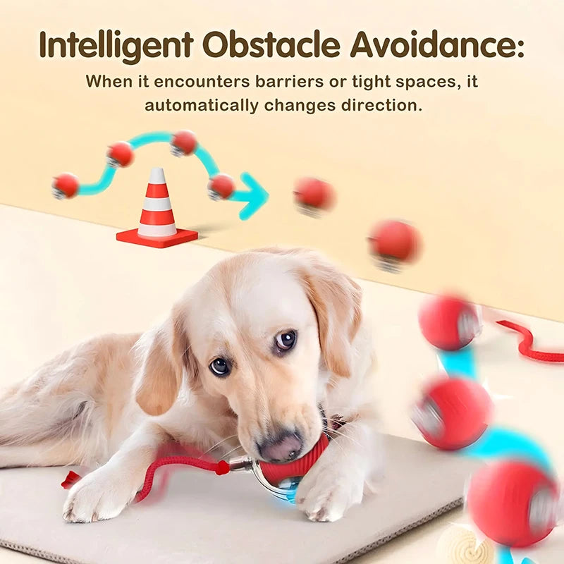 Cat Toys Automatic Rolling Ball Faux Tail Rechargeable Smart Pet Interactive Ball Electric Toy Dog Cat Training Imitate Mouse