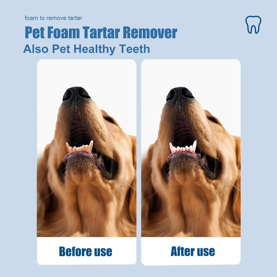 60ml Pet Tartar Remover Natural Plaques Off Tartar Remover Freshen Breath Foam For Dogs Cats Safe Effective Support Healthy Gums