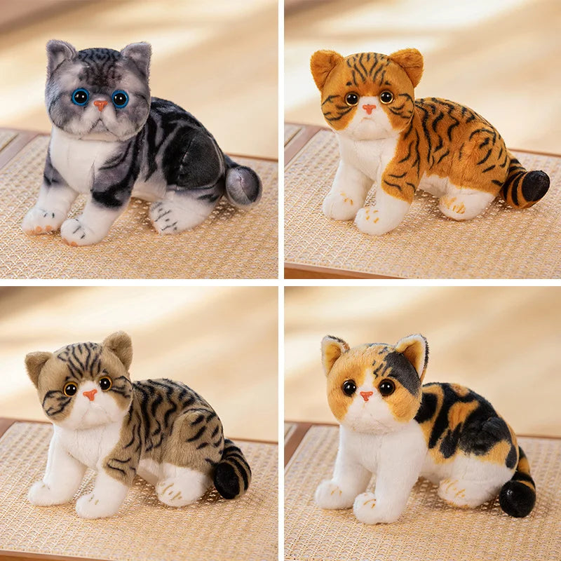 Super Likfelike Fat Face Cat Plushie Stuffed Apple Face Tiger Patterned Kitten Simulated Animals Home Decor Gift for Boy Kids