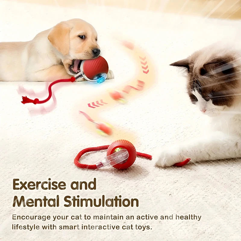 Cat Toys Automatic Rolling Ball Faux Tail Rechargeable Smart Pet Interactive Ball Electric Toy Dog Cat Training Imitate Mouse