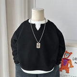 Boys' Casual Loose Cotton Long Sleeve Sweatshirt Grid Pullover Shirt 6-14 Years Spring Autumn Fashion Fake 2 Piece Top for Kids