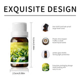Tea Tree Oil For Skin,Hair,Aromatherapy,Diy Candle, Natural Tea Tree Essential Oils 10ml Gift For Travel, Camping, Hiking