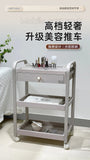 Organizer Rotating Salon Trolley Moving Modern Luxury Storage Trolley Cart Simple Tool Carritos Organizadores Salon Furniture