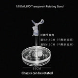 1/6 BJD Doll Toy Accessories Transparent Rotating Stand 1/8 Acrylic Support Standing Base Stand Doll Supplies Accessories