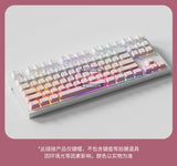 132 Keys Gradient backlit RGB Keycaps For Cherry Mx Switch Mechanical Gaming Keyboard OEM Profile PBT Keycap ISO Layout Key caps