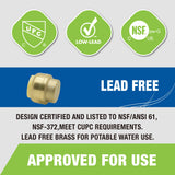 KING SMART 1/2" Push Fit Plug/End Cap CUPC NSF Lead Free Certified; DZR Lead Free Brass; 10Pcs; 80512