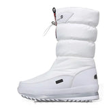 Women Snow Boots Platform Winter Boots Thick Plush Waterproof Non-slip Boots Fashion Women Winter Shoes Warm Fur Botas mujer