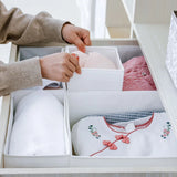 Closet Organizer For Underwear Organizer Box Storage Cabinets Drawers Organizer For Clothes Wardrobe Closet Organizer Boxes