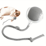 Automatic Interactive Cat Ball Toy Rechargeable Smart Electric Rolling Ball with Faux Tail Mouse Imitation for Dog Cat Training