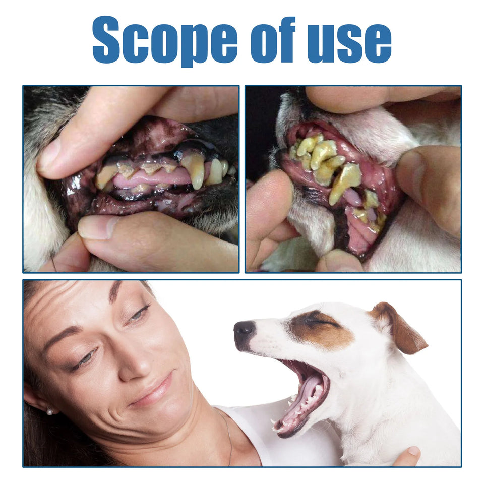 60ml Pet Tartar Remover Natural Plaques Off Tartar Remover Freshen Breath Foam For Dogs Cats Safe Effective Support Healthy Gums