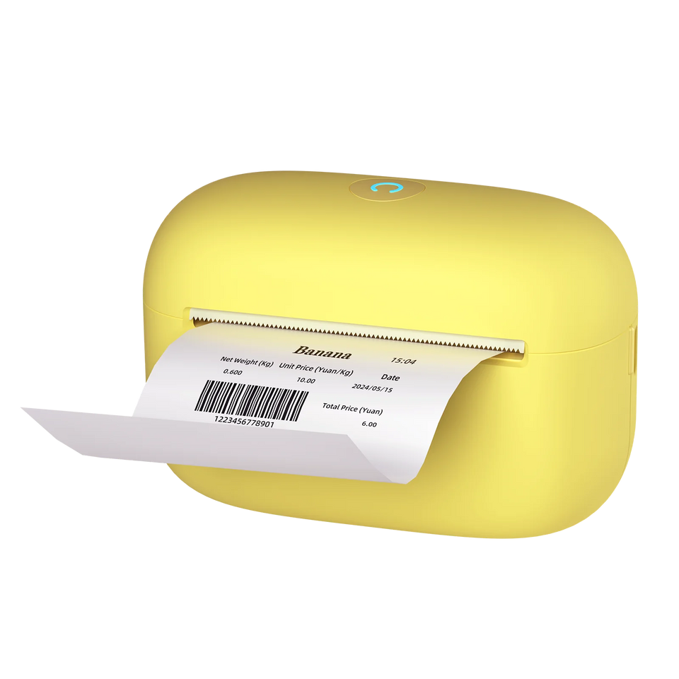 Portable Mini Printer Label Maker 300dpi 2 Inch Thermal Wireless Inkless Printer Bluetooth for IOS and Android Home School