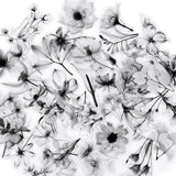 50 Pcs Transparent Flower & Plant Stickers - PET Decorative Craft Supplies for Journals, Notebooks, Tablets(Anime Worlds Store)